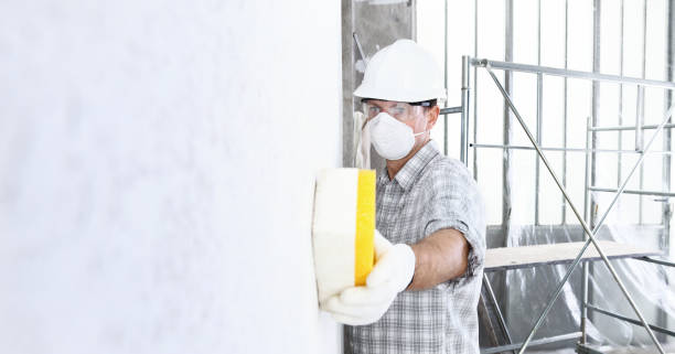 Best Residential Mold Inspection & Testing  in Yuba City, CA